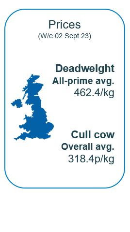 infographic showing beef prices september